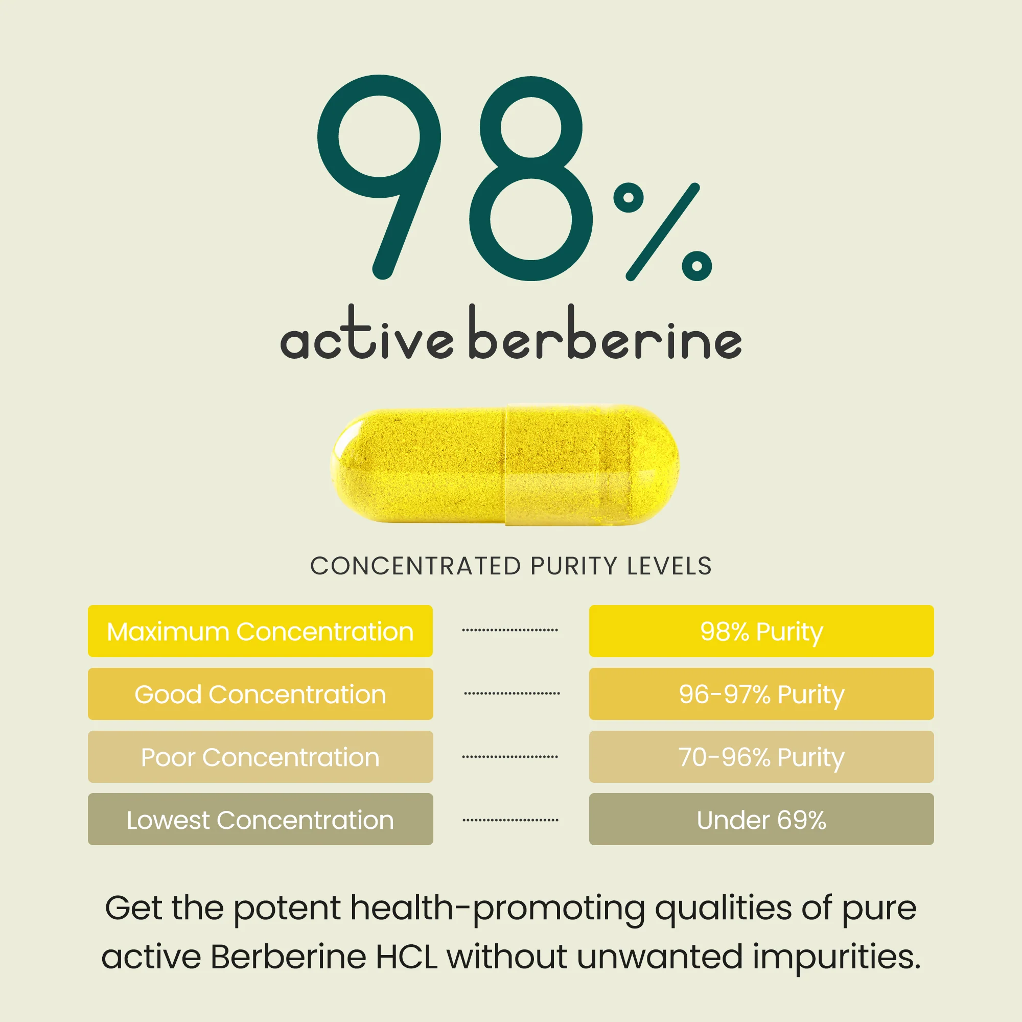 Berberine HCL Capsules - Image 4