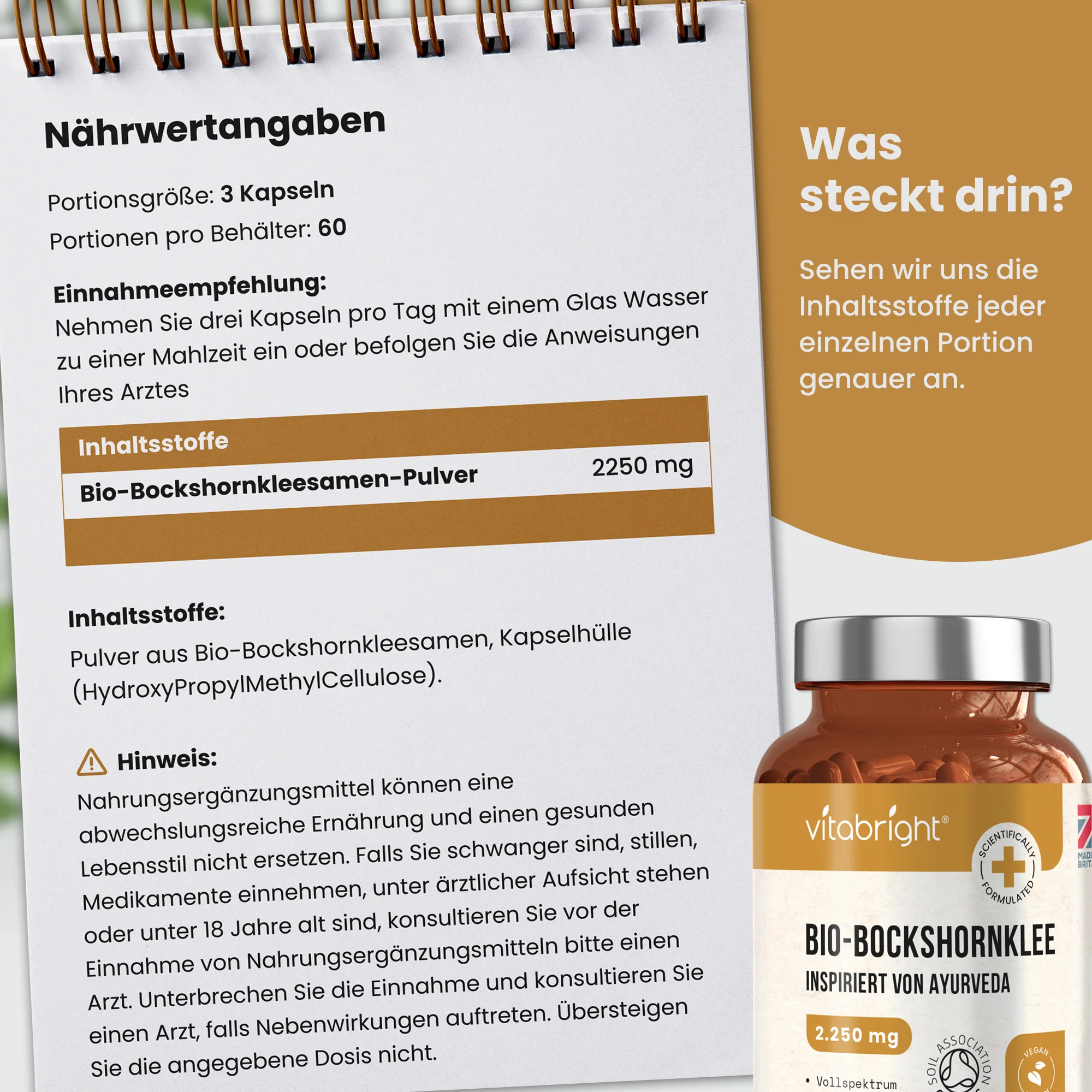 Bockshornklee Kapseln - Image 3