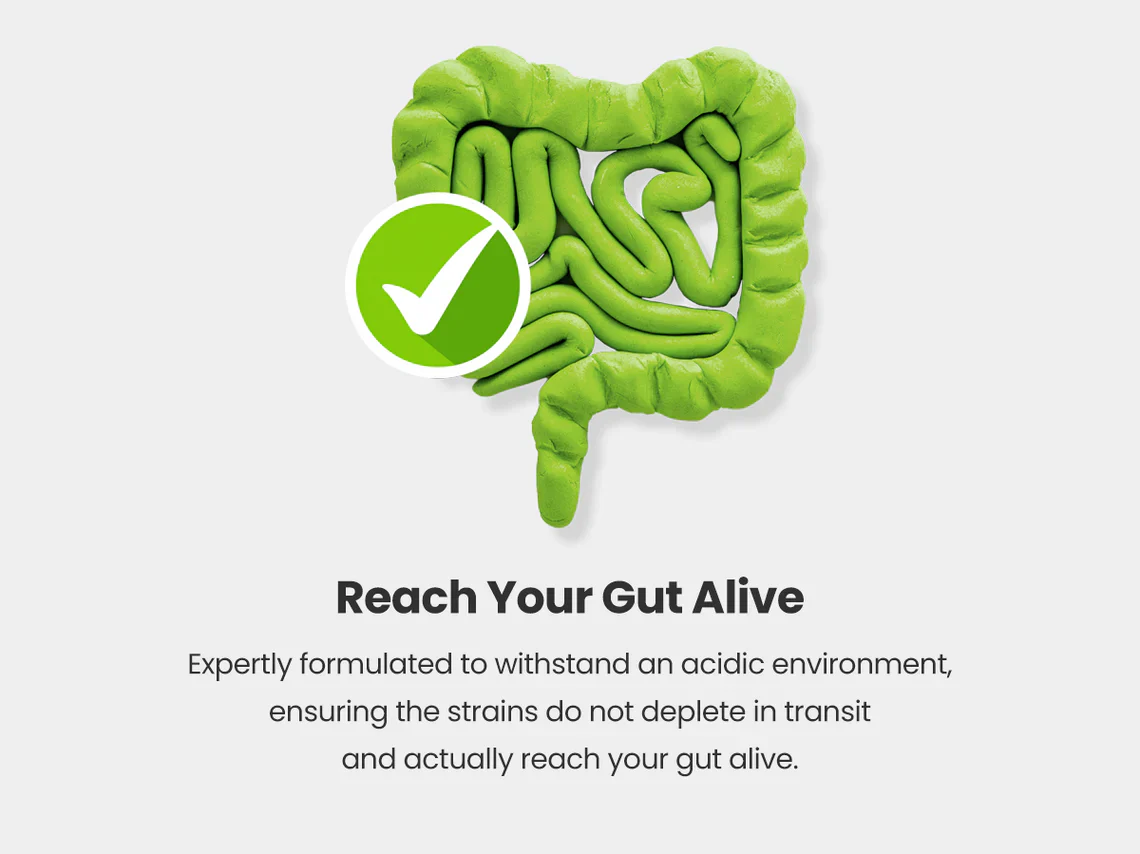 Bio Culture Probiotics Complex Capsules for Gut Health - 45 Billion CFU 17 Live Strains - Image 6
