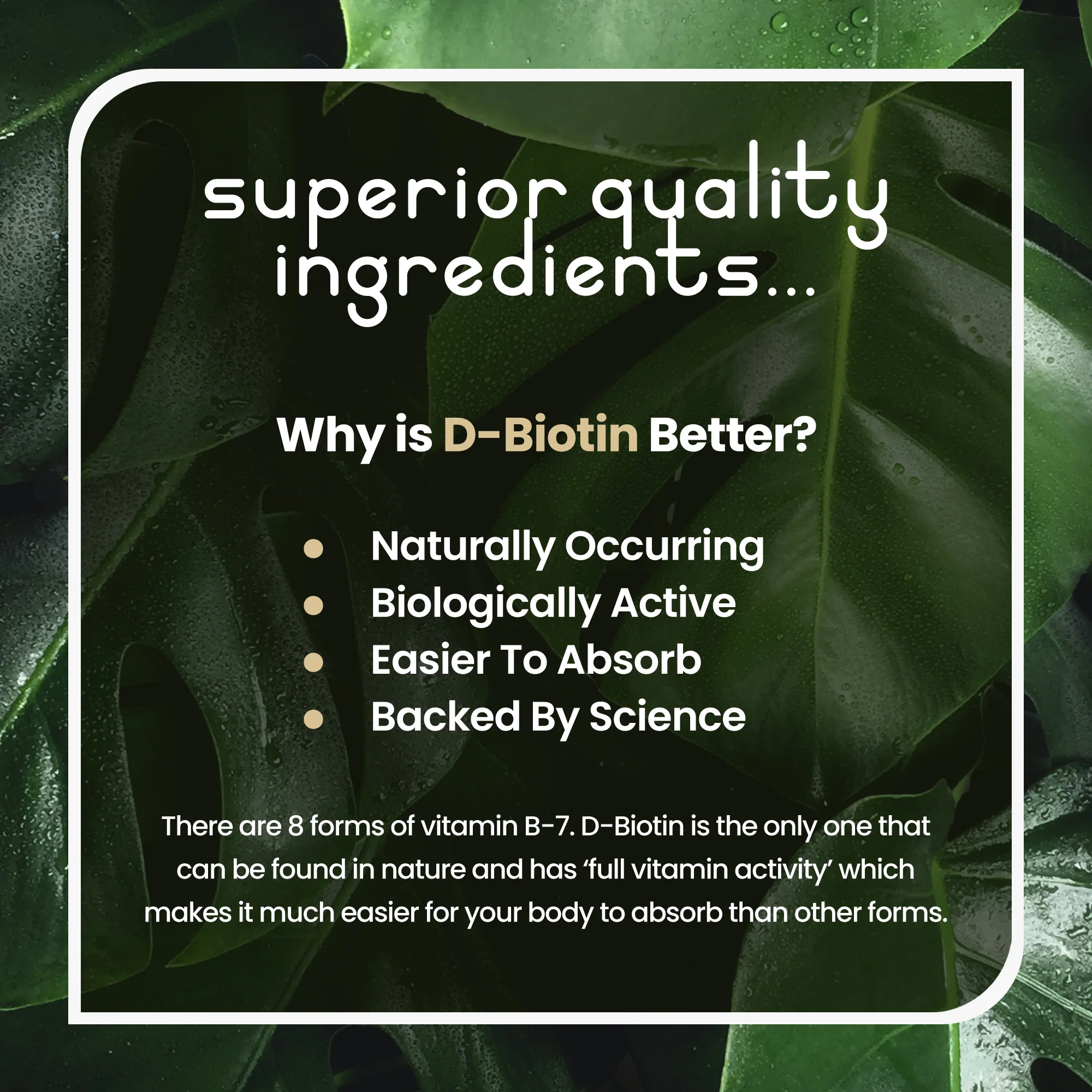 Biotin Tablets with Coconut - Image 11