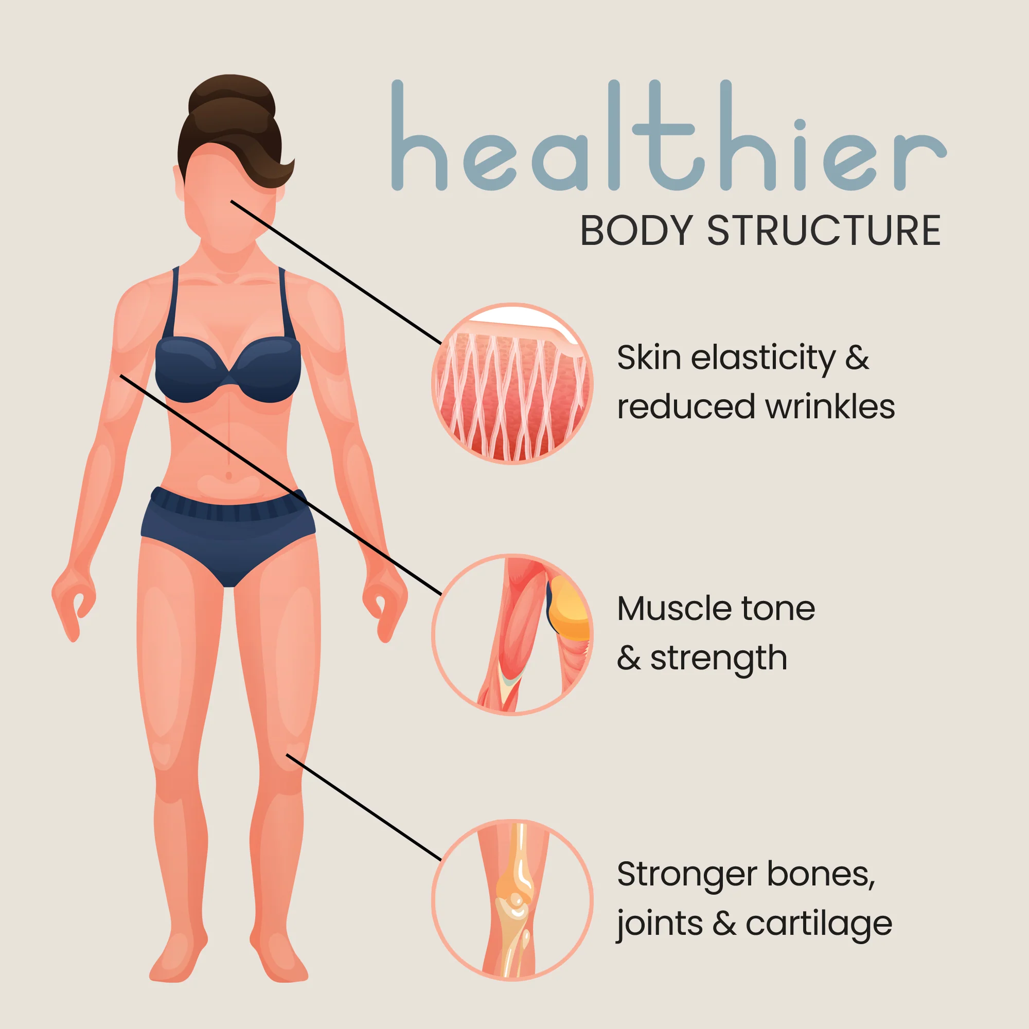 Bovine Collagen Powder - Image 5