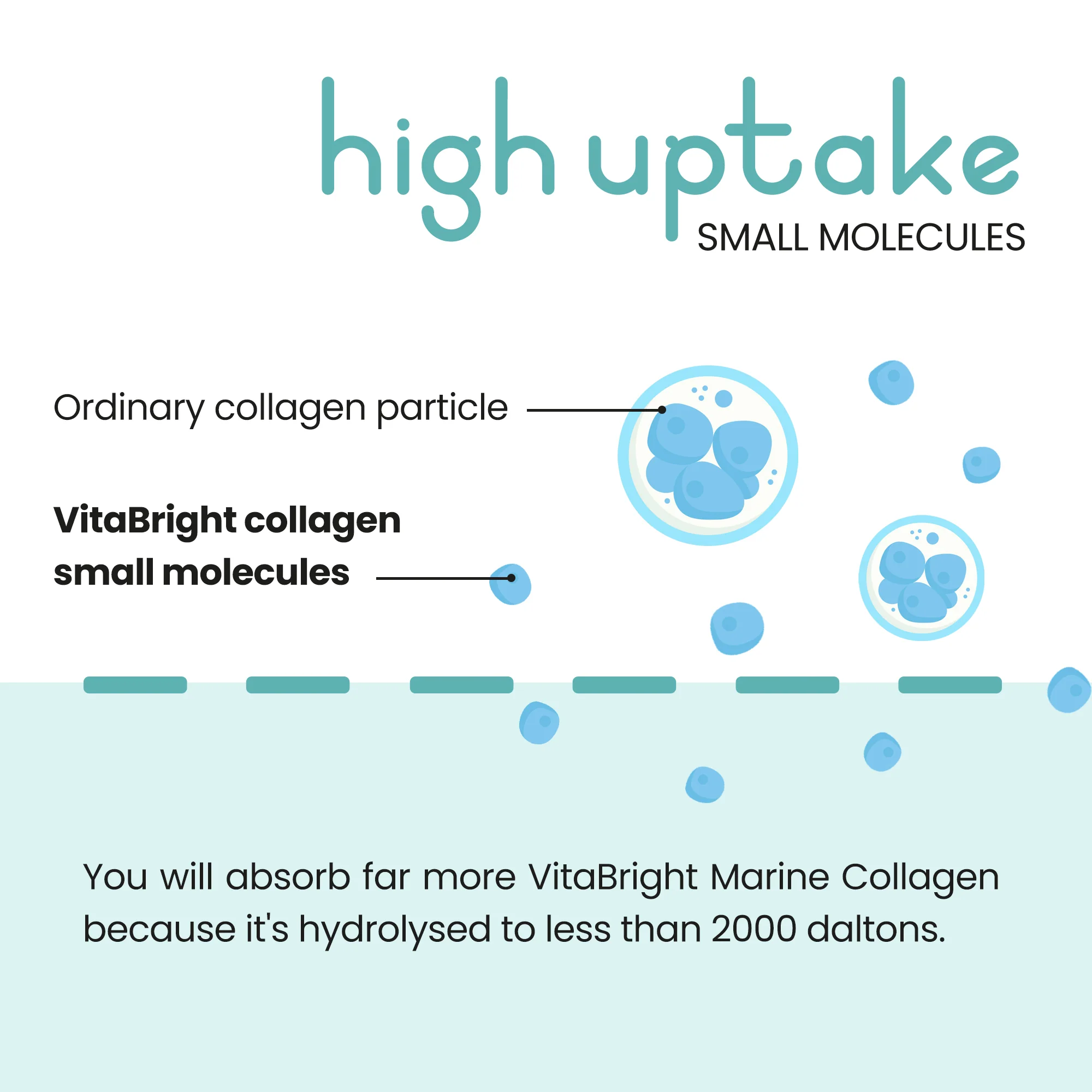 Marine Collagen Tablets - Image 10