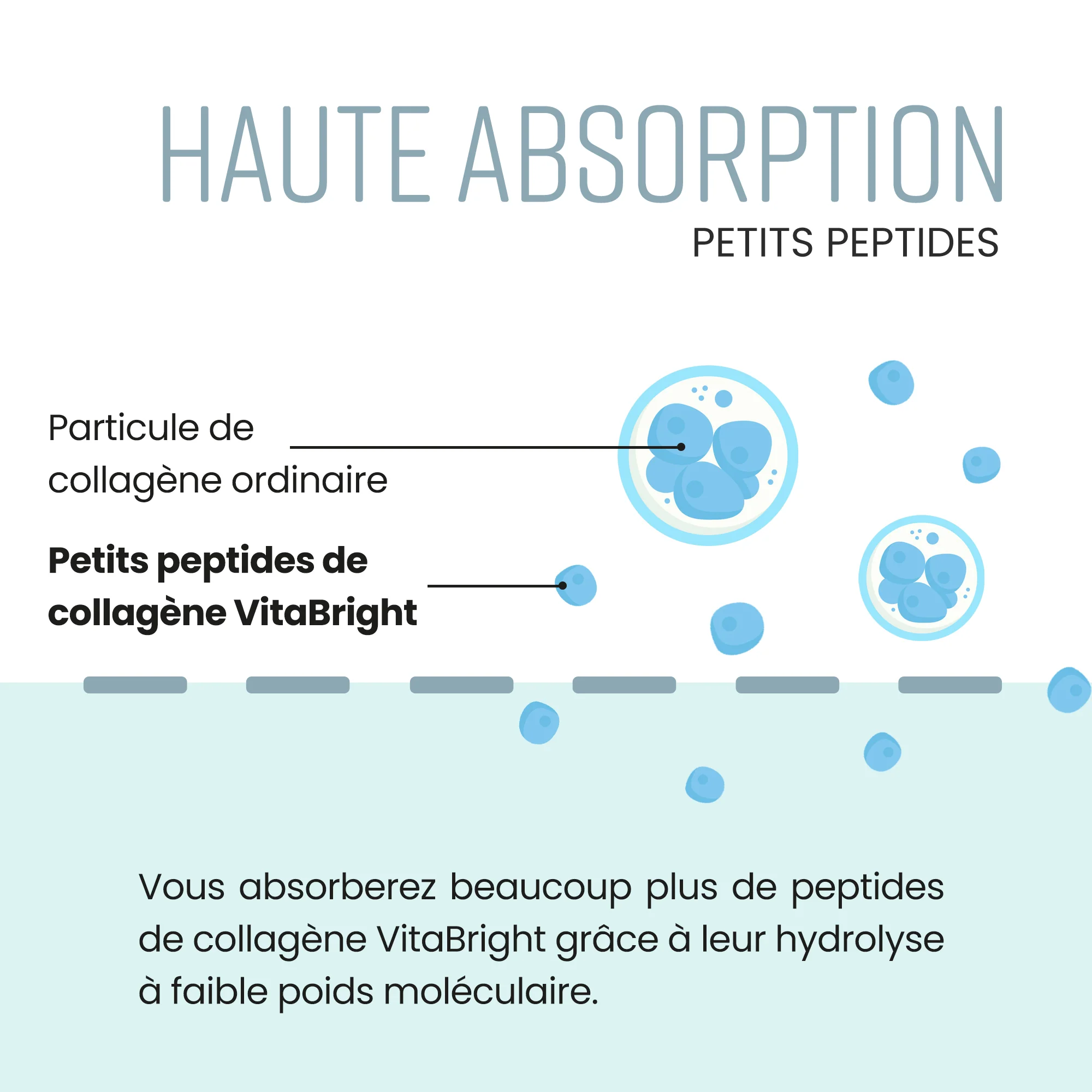 Collagène en Poudre - Image 2