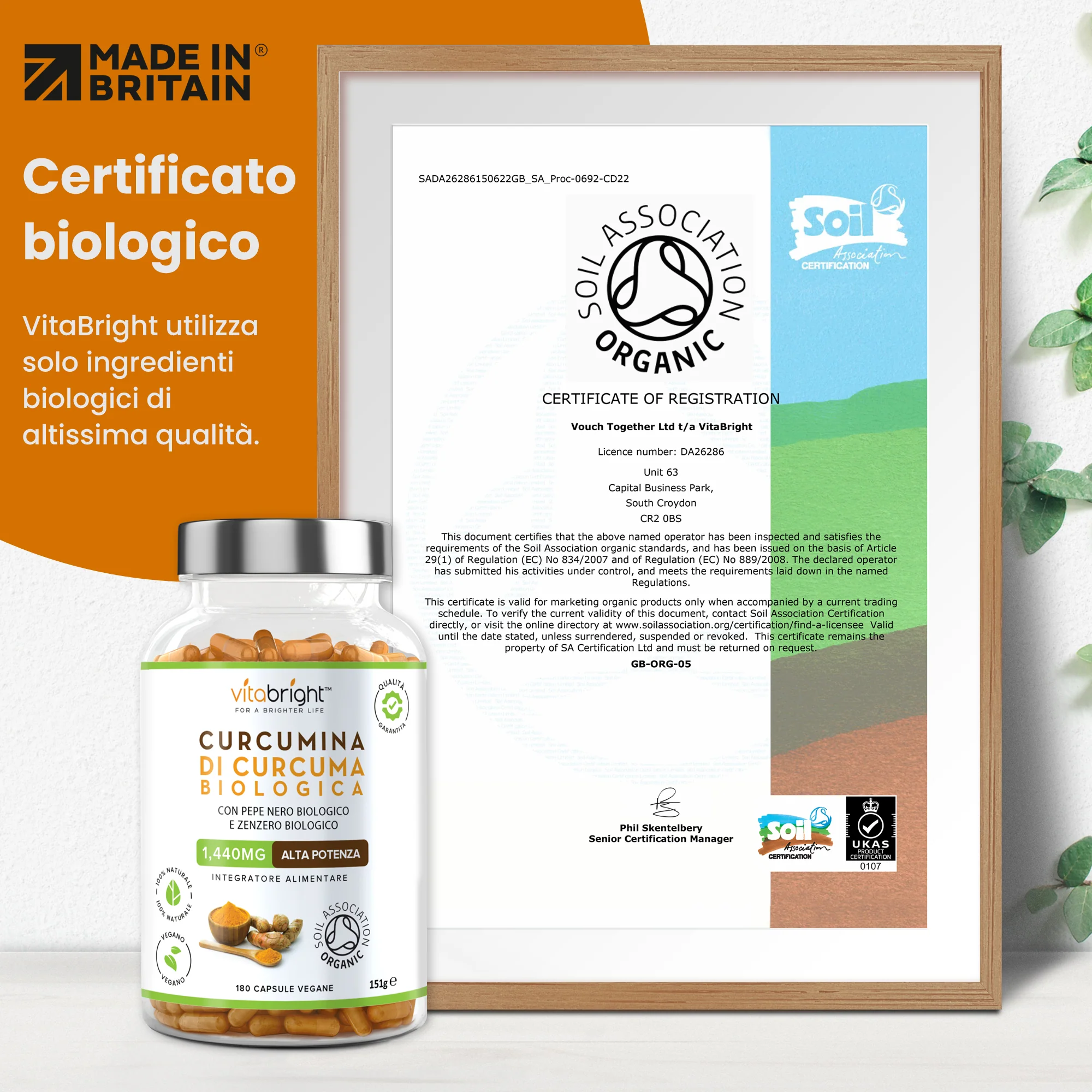 Curcuma Con Zenzero - Image 4
