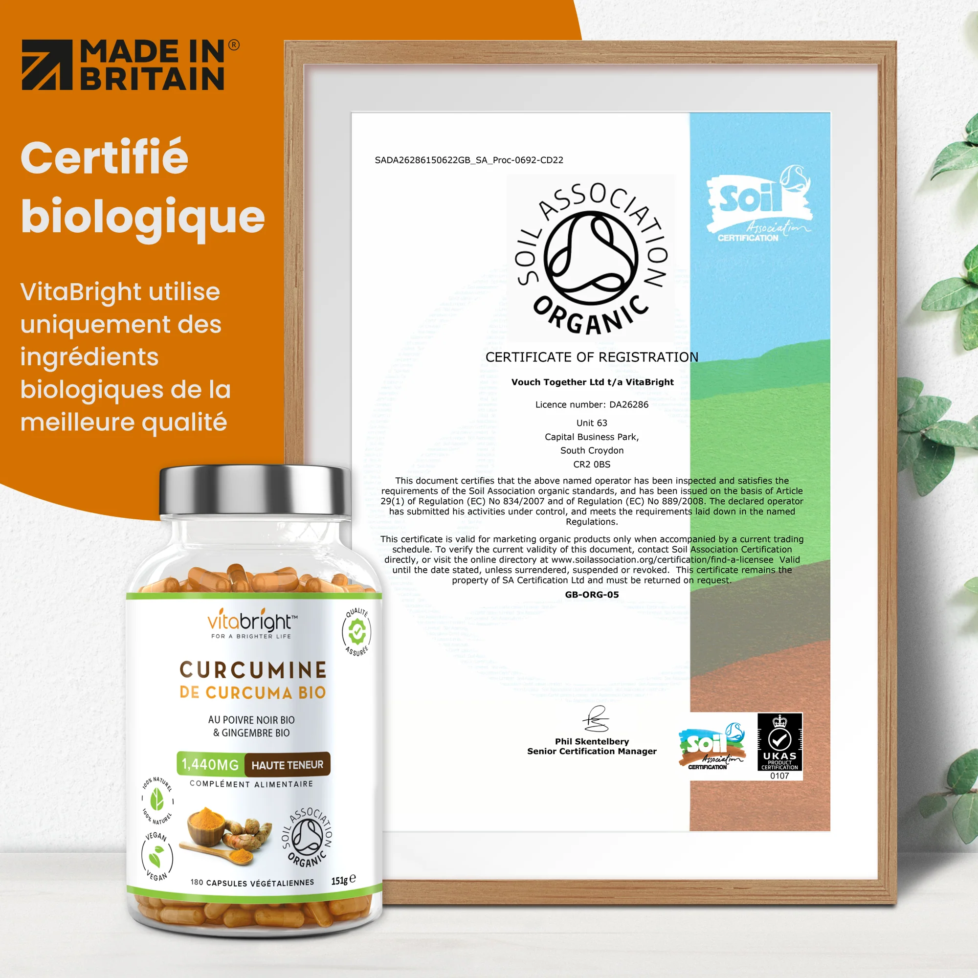 Curcuma avec Gingembre - Image 6