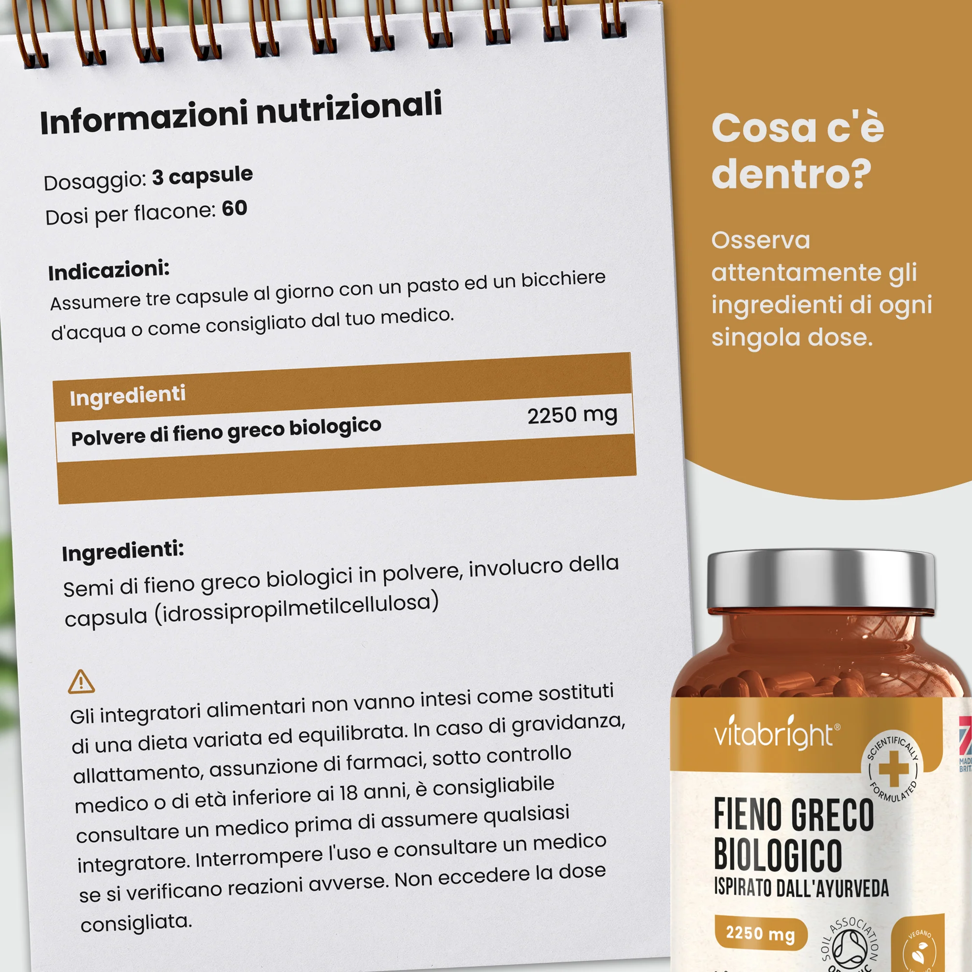 Fieno Greco in Capsule - Image 3