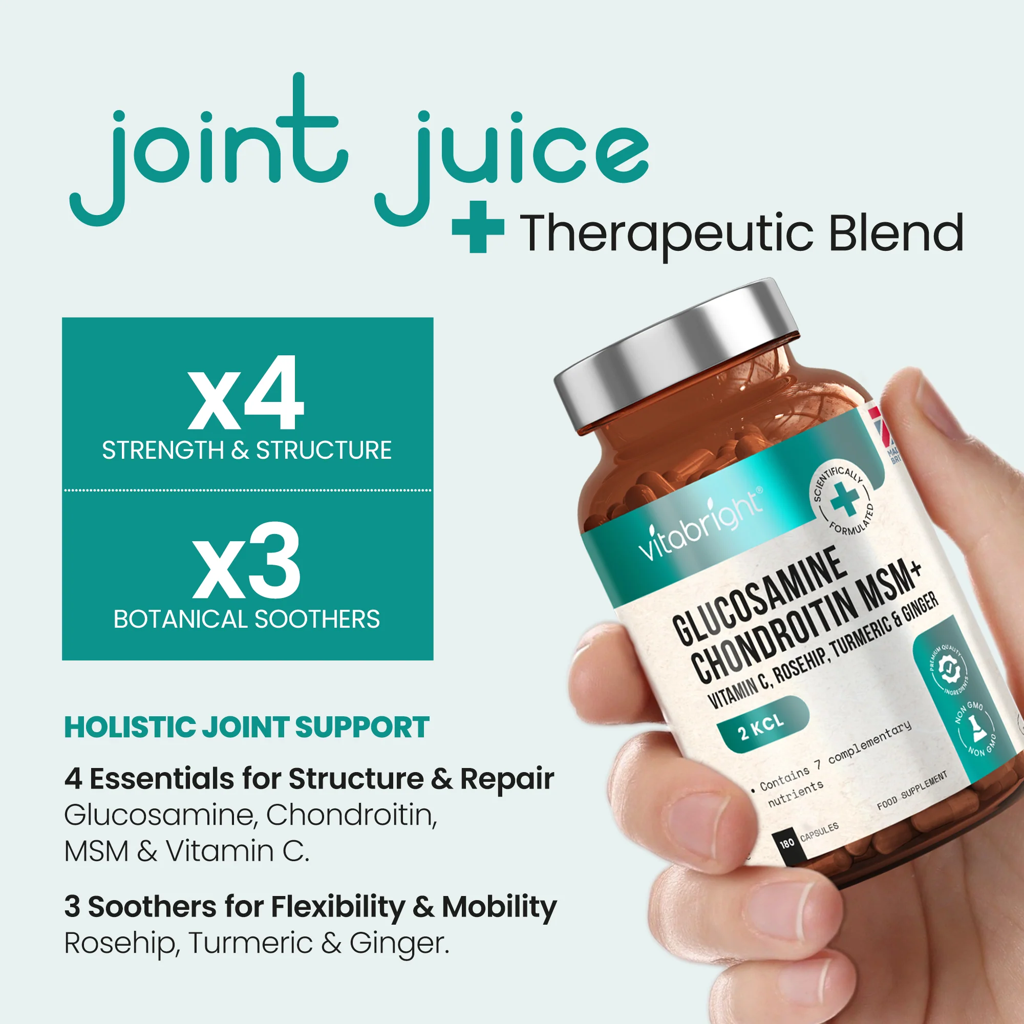 Glucosamine Chondroitin MSM Complex - Image 7