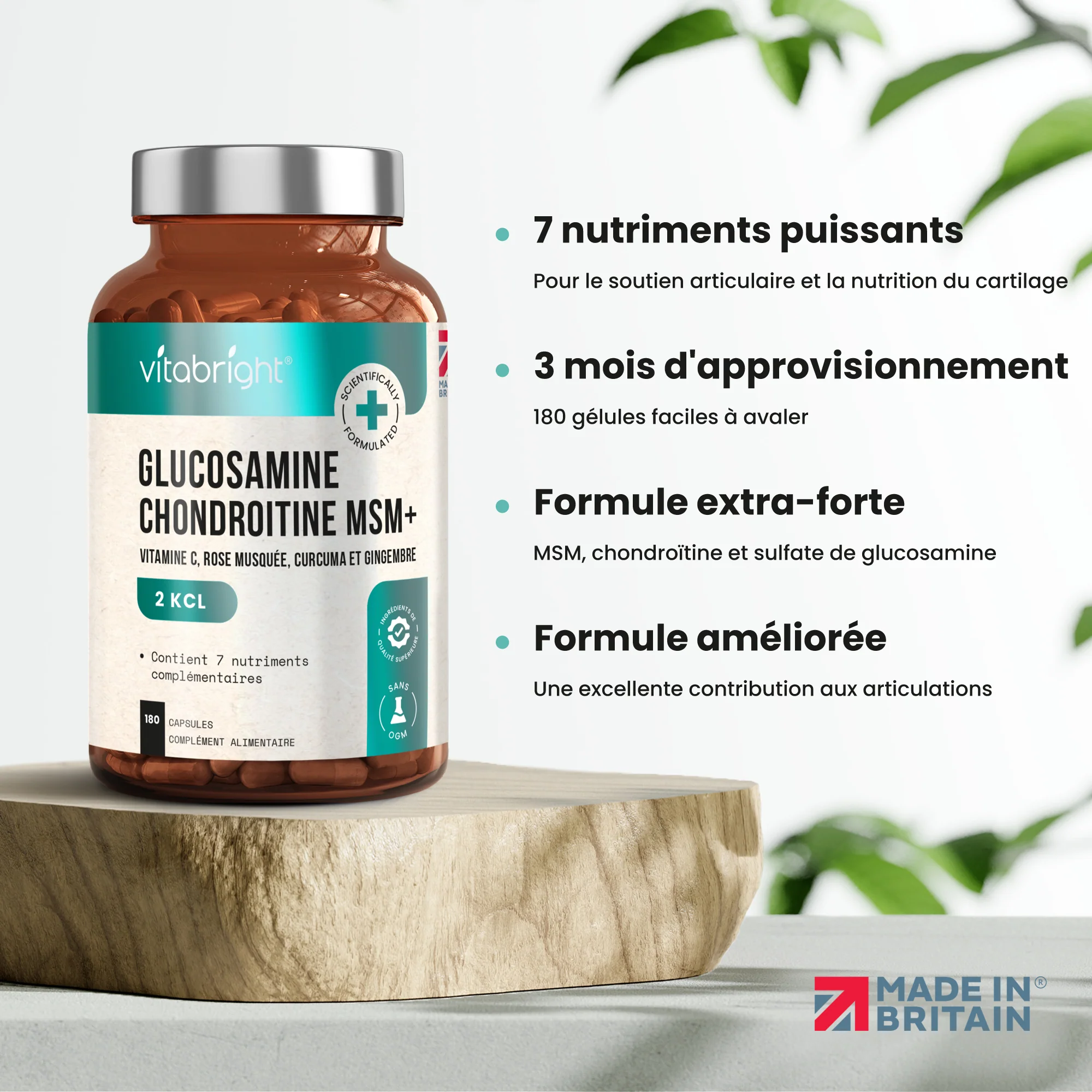 Glucosamine Chondroïtine et MSM - Image 2