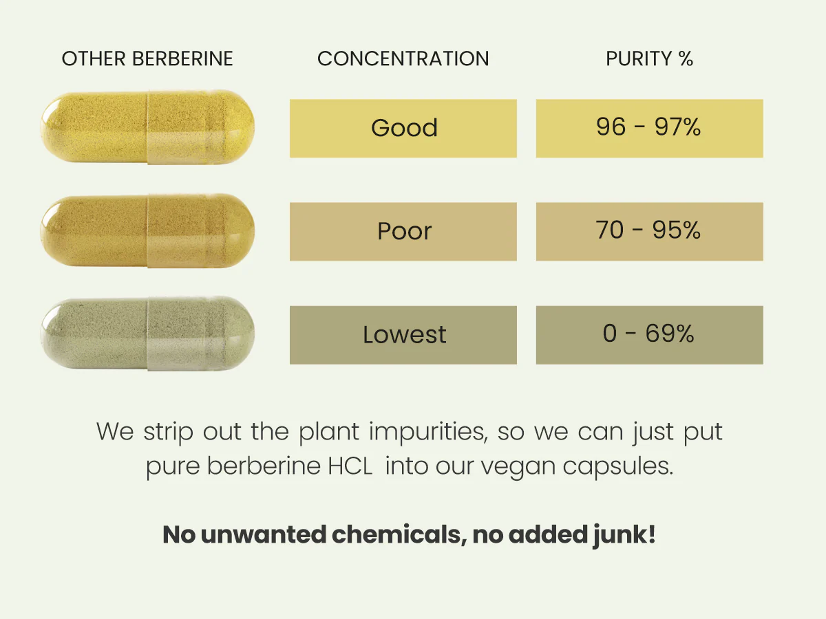 Berberine Capsules - High Strength 98% Berberine HCL - 90 x 500mg Capsules - Image 7