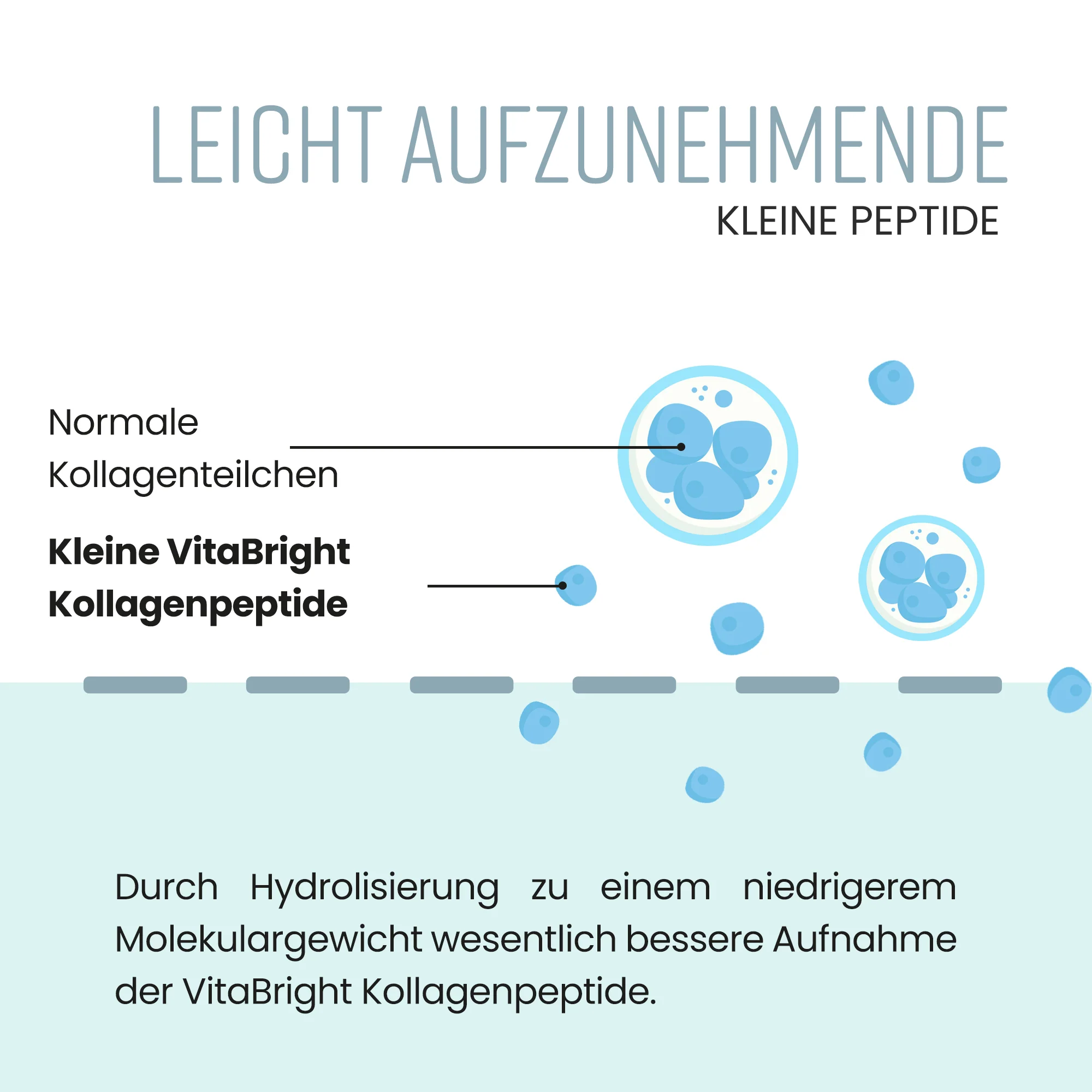 Kollagenpulver - Image 2