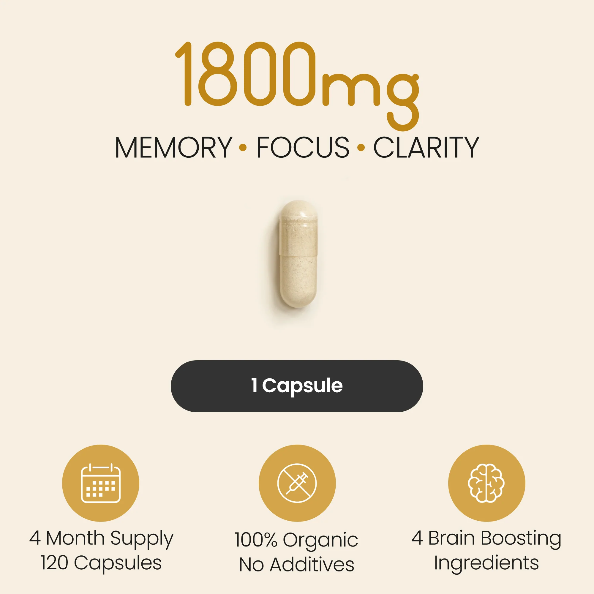 Lion's Mane Supplement - Image 4