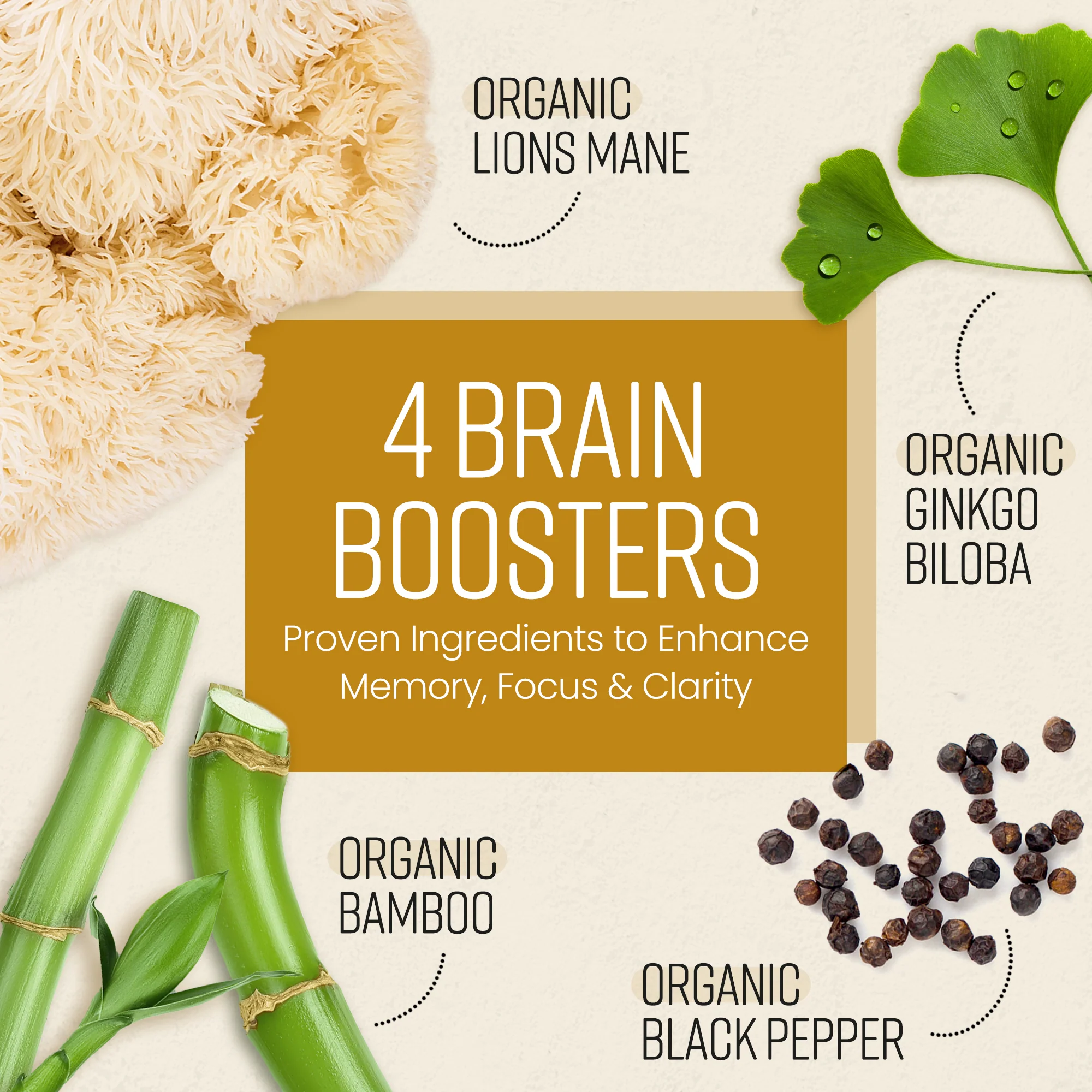 Lion's Mane Supplement - Image 6