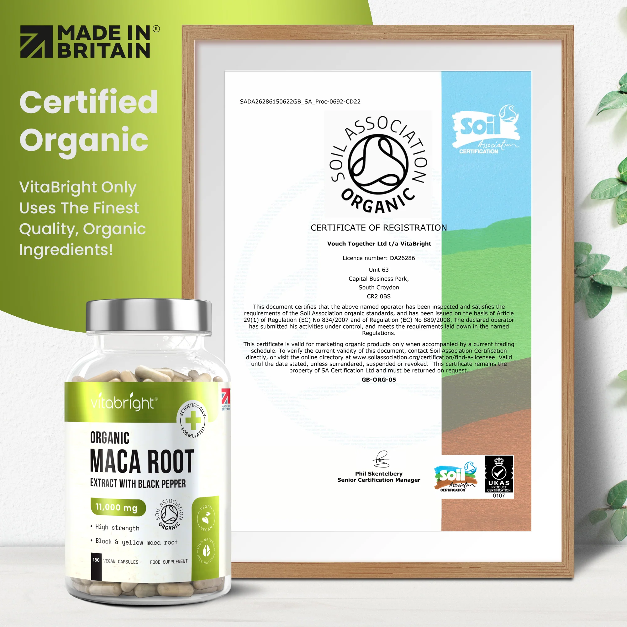 Maca Root Tablets - Image 5