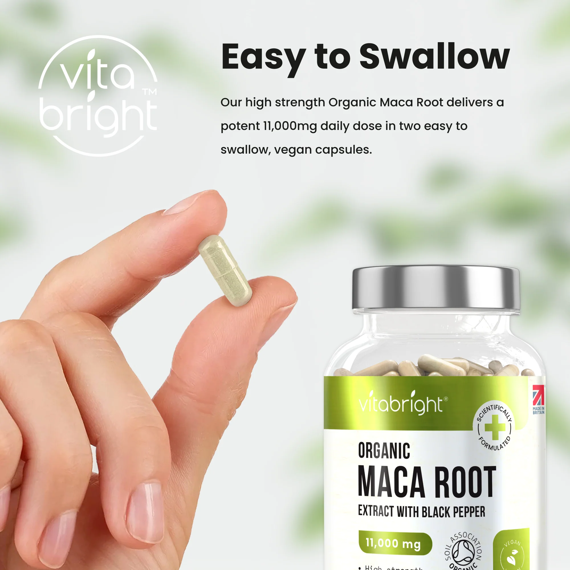Maca Root Tablets - Image 7