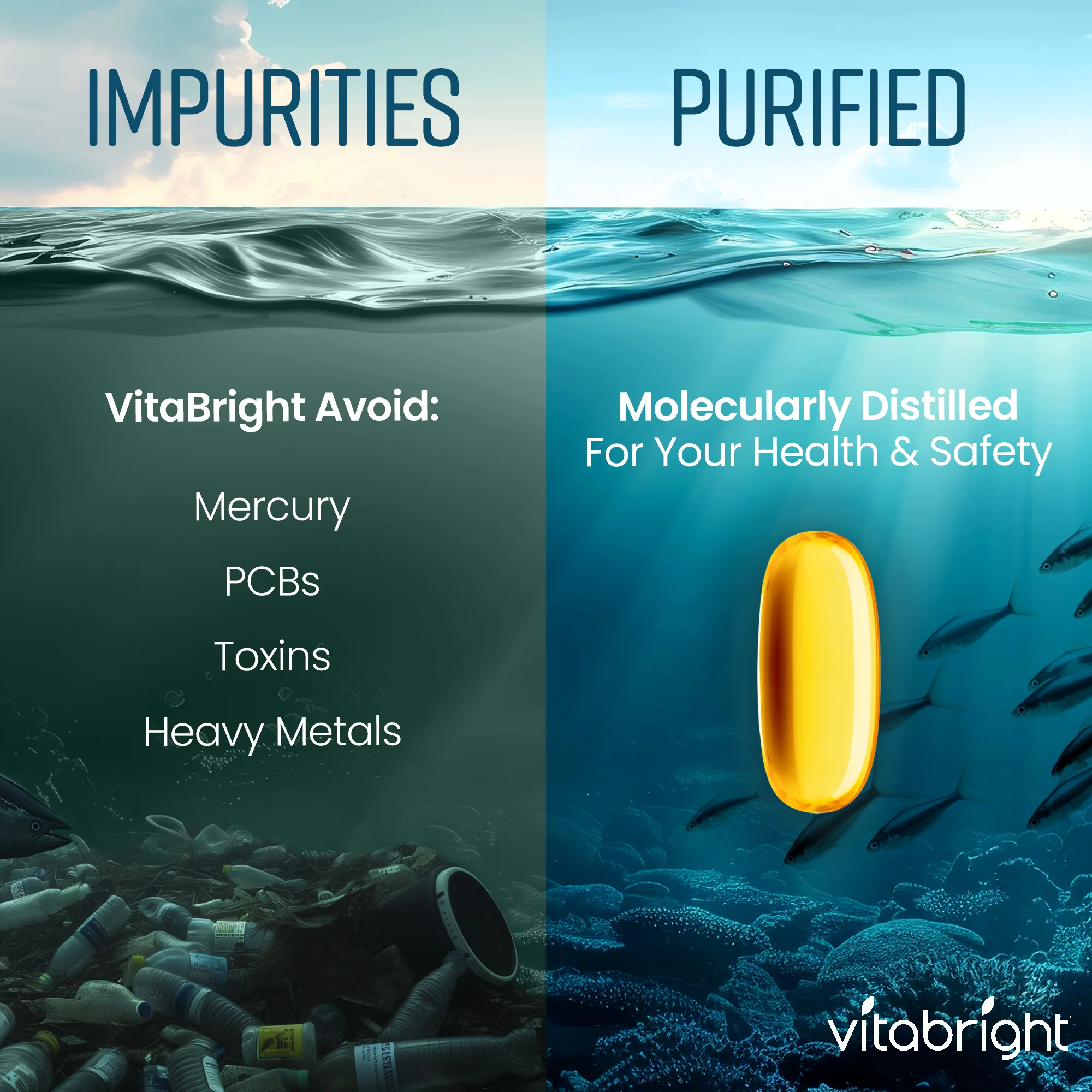 Omega 3 Capsules - Fish Oil - Image 5