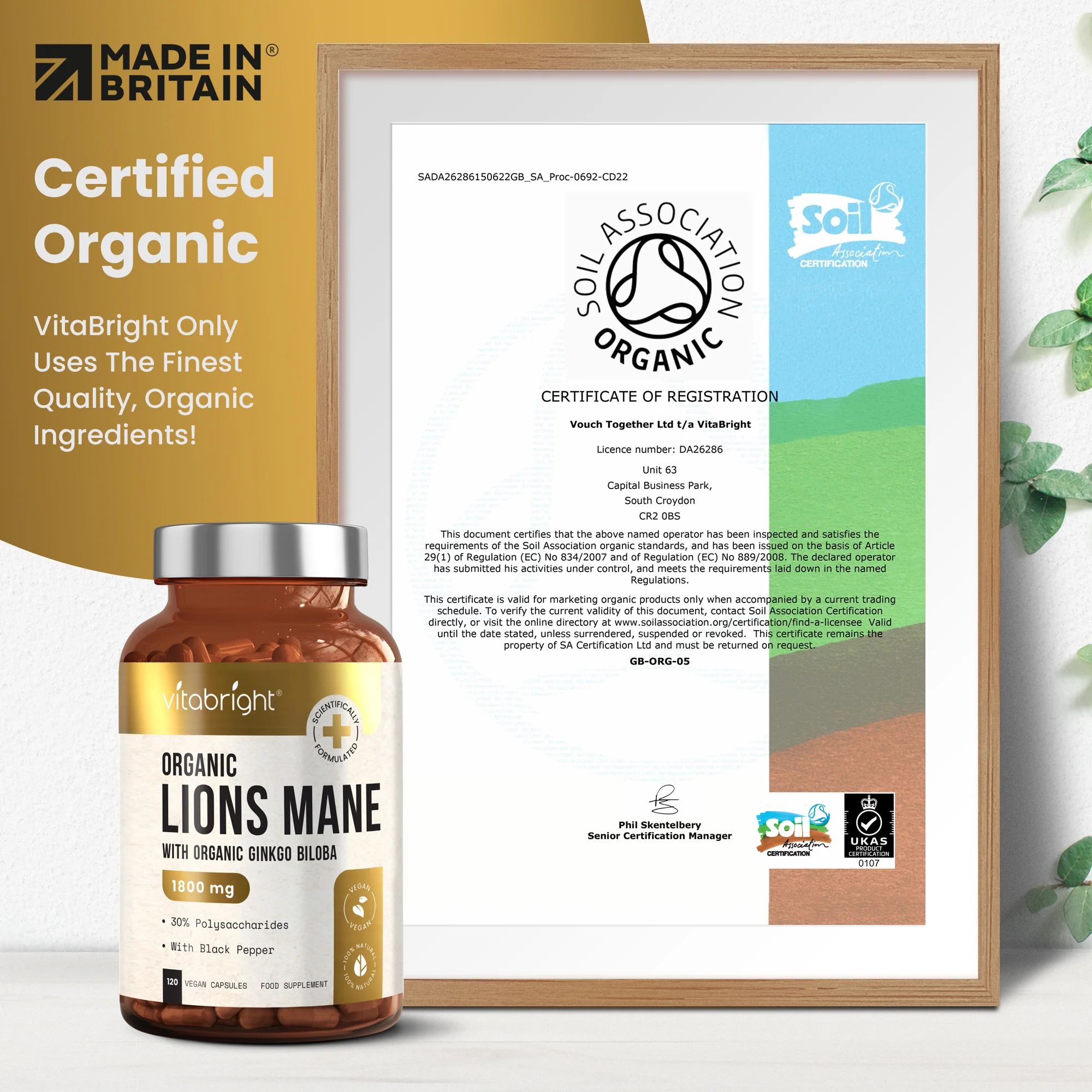 Lion's Mane Supplement - Image 7