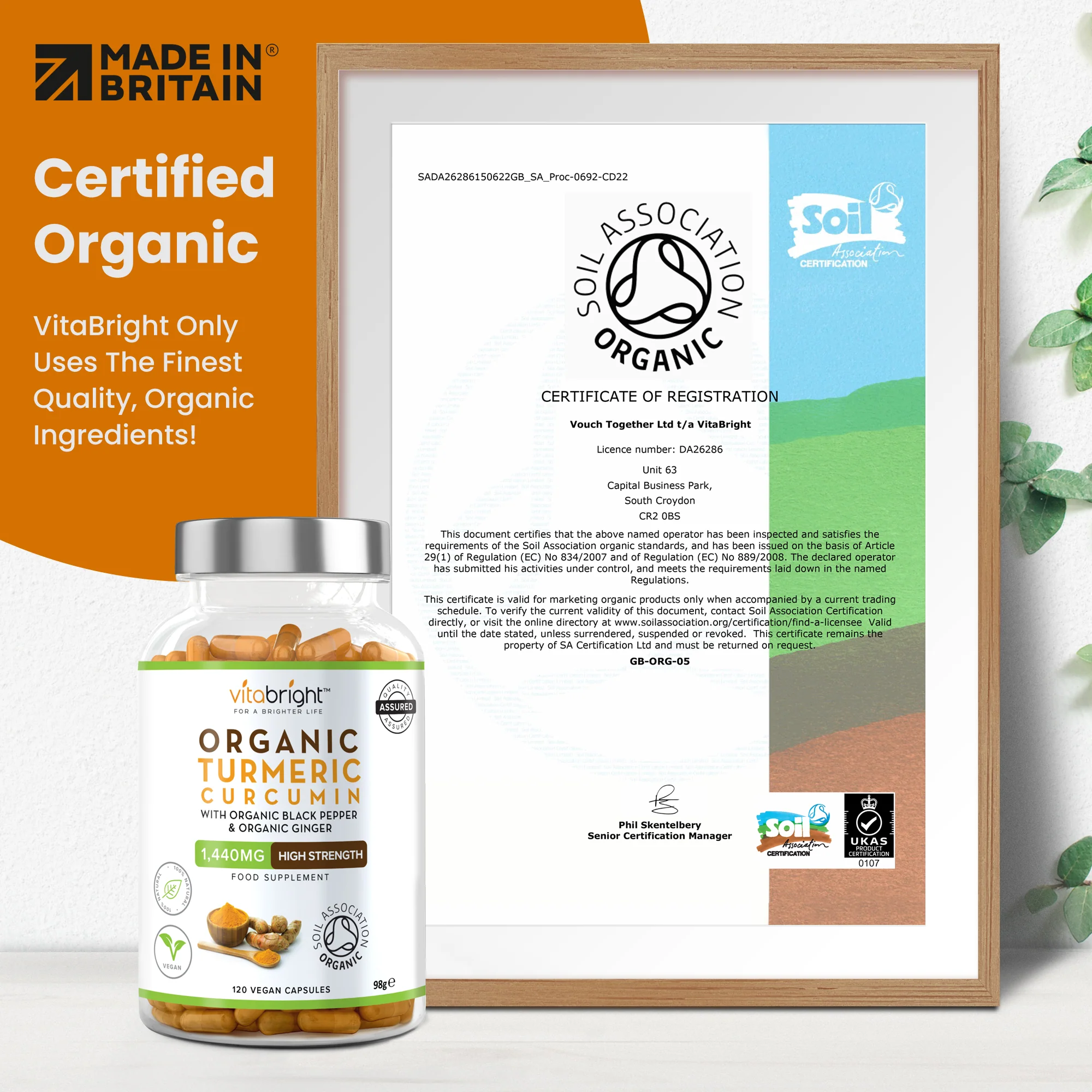 Turmeric Curcumin Tablets - Image 4